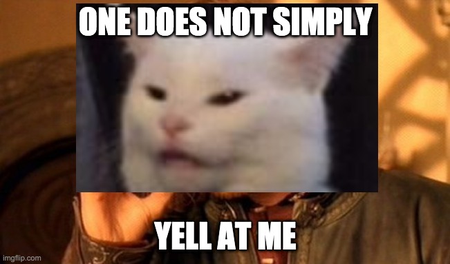 image.jpg | ONE DOES NOT SIMPLY; YELL AT ME | image tagged in one does not simply | made w/ Imgflip meme maker