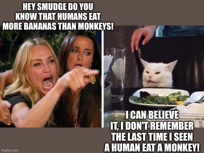 Woman yelling at cat | HEY SMUDGE DO YOU KNOW THAT HUMANS EAT MORE BANANAS THAN MONKEYS! I CAN BELIEVE IT, I DON'T REMEMBER THE LAST TIME I SEEN A HUMAN EAT A MONKEY! | image tagged in smudge the cat | made w/ Imgflip meme maker