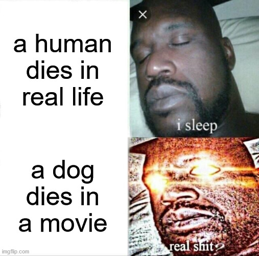 Hmmm | a human dies in real life; a dog dies in a movie | image tagged in memes,sleeping shaq | made w/ Imgflip meme maker