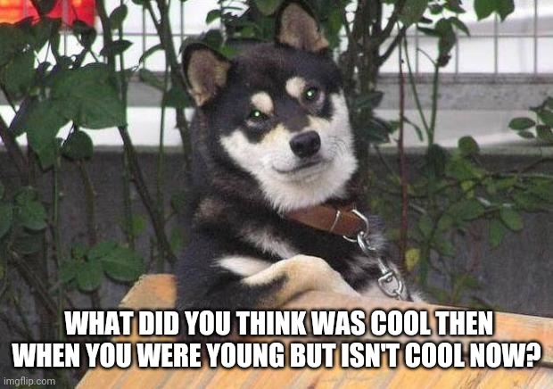 Do you think your cool? | WHAT DID YOU THINK WAS COOL THEN WHEN YOU WERE YOUNG BUT ISN'T COOL NOW? | image tagged in cool dog | made w/ Imgflip meme maker