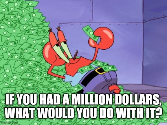 Be a millionaire | IF YOU HAD A MILLION DOLLARS, WHAT WOULD YOU DO WITH IT? | image tagged in money,who wants to be a millionaire | made w/ Imgflip meme maker