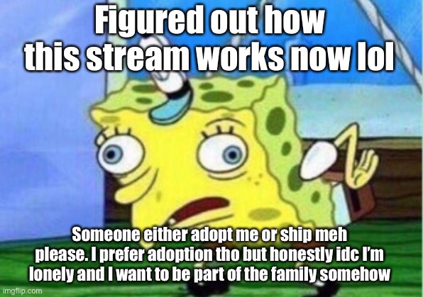 Hello :3 | Figured out how this stream works now lol; Someone either adopt me or ship meh please. I prefer adoption tho but honestly idc I’m lonely and I want to be part of the family somehow | image tagged in memes,mocking spongebob,family | made w/ Imgflip meme maker