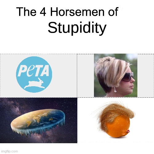 no hate, all fact | Stupidity | image tagged in four horsemen | made w/ Imgflip meme maker