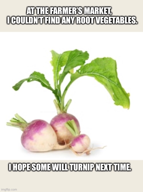 Turnip | AT THE FARMER’S MARKET,     I COULDN’T FIND ANY ROOT VEGETABLES. I HOPE SOME WILL TURNIP NEXT TIME. | image tagged in nature | made w/ Imgflip meme maker