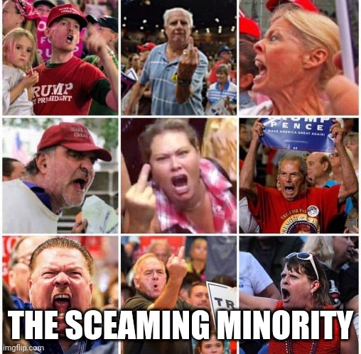 Silent majority is silent | THE SCEAMING MINORITY | image tagged in triggered trump supporters | made w/ Imgflip meme maker