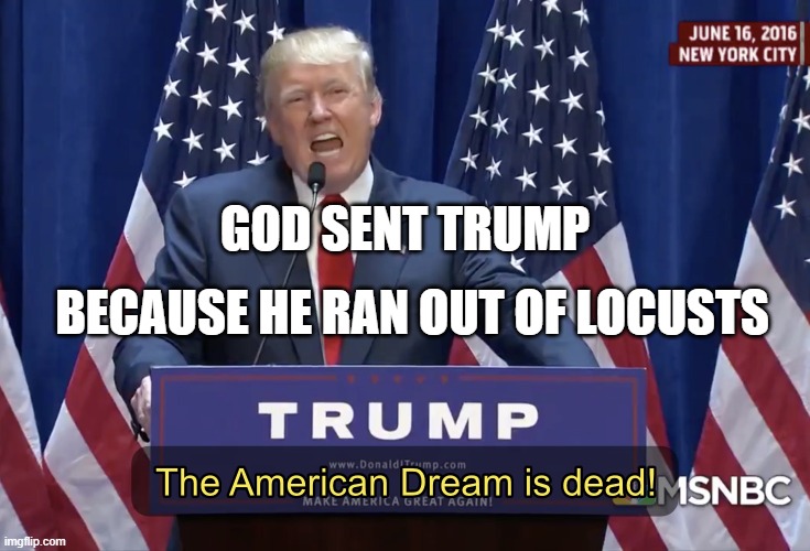 God Sent Trump Because He Ran Out Of Locusts | BECAUSE HE RAN OUT OF LOCUSTS; GOD SENT TRUMP | image tagged in the american dream is dead | made w/ Imgflip meme maker