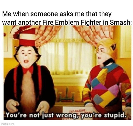 You're not just wrong your stupid | Me when someone asks me that they want another Fire Emblem Fighter in Smash: | image tagged in you're not just wrong your stupid,smash bros,fire emblem | made w/ Imgflip meme maker