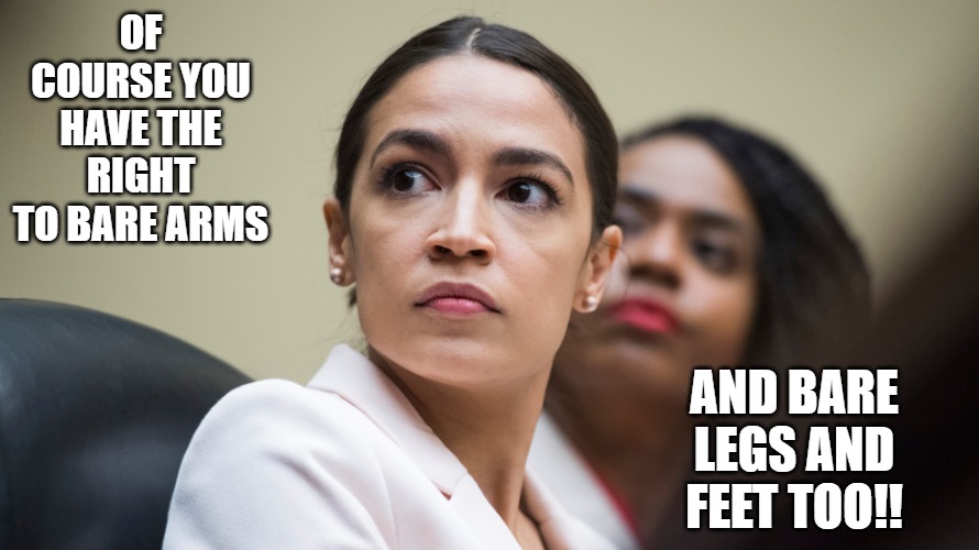AOC | OF COURSE YOU HAVE THE RIGHT TO BARE ARMS; AND BARE LEGS AND FEET TOO!! | image tagged in bear,arms,bear arms,stupid,aoc | made w/ Imgflip meme maker