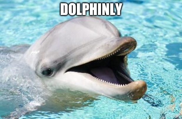 Dumb Joke Dolphin | DOLPHINLY | image tagged in dumb joke dolphin | made w/ Imgflip meme maker