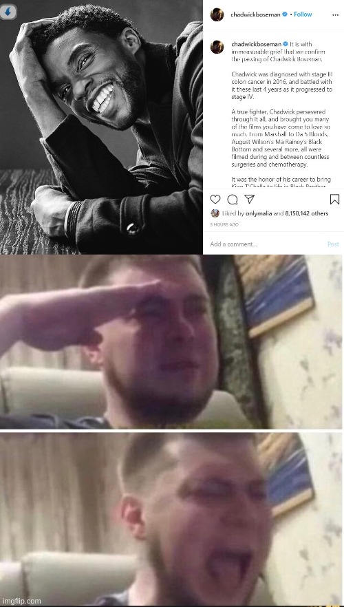 no title needed | image tagged in crying salute,black panther | made w/ Imgflip meme maker