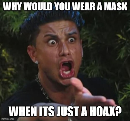 DJ Pauly D Meme | WHY WOULD YOU WEAR A MASK WHEN ITS JUST A HOAX? | image tagged in memes,dj pauly d | made w/ Imgflip meme maker
