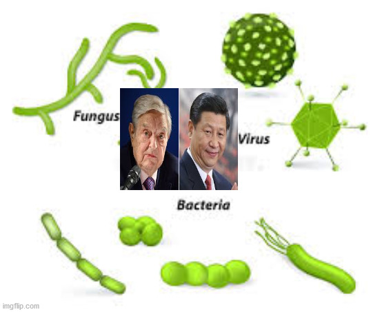 microrganisms | image tagged in science | made w/ Imgflip meme maker