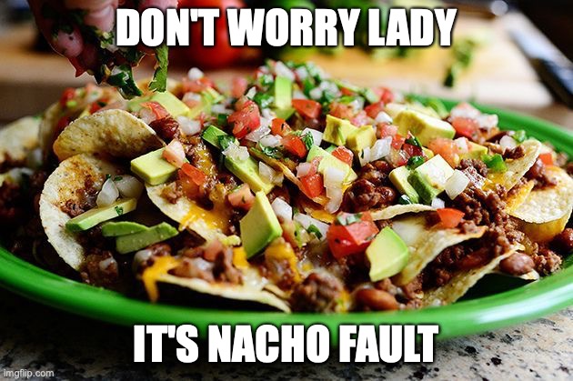 It's nacho fault |  DON'T WORRY LADY; IT'S NACHO FAULT | image tagged in nachos | made w/ Imgflip meme maker