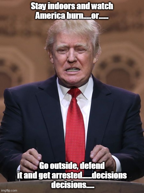 Donald Trump | Stay indoors and watch America burn.....or...... Go outside, defend it and get arrested......decisions  decisions..... | image tagged in donald trump | made w/ Imgflip meme maker