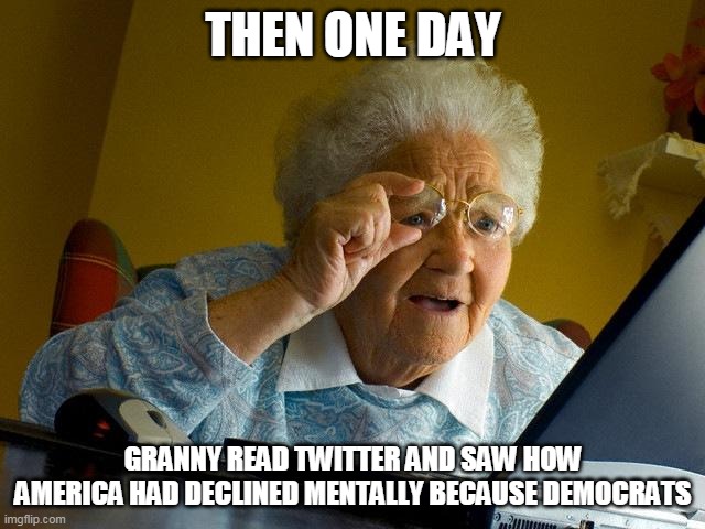 Grandma Finds The Internet | THEN ONE DAY; GRANNY READ TWITTER AND SAW HOW AMERICA HAD DECLINED MENTALLY BECAUSE DEMOCRATS | image tagged in memes,grandma finds the internet | made w/ Imgflip meme maker