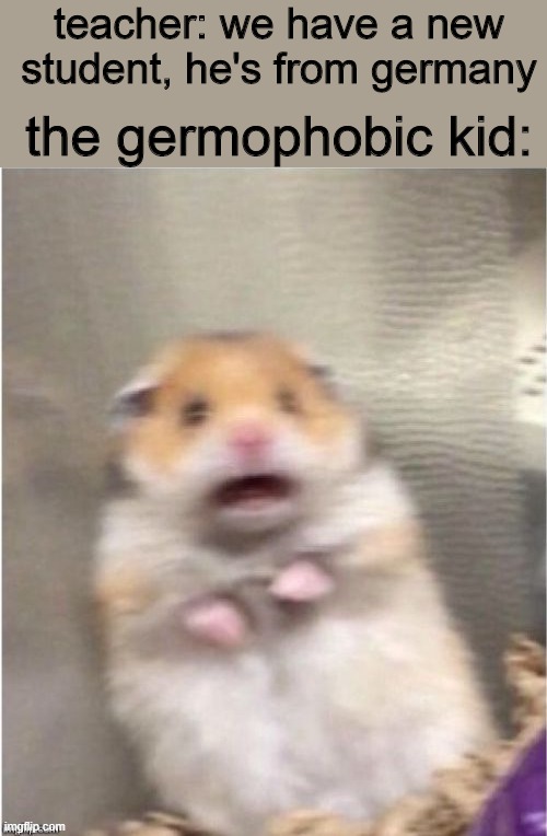 Scared Hamster | teacher: we have a new student, he's from germany; the germophobic kid: | image tagged in scared hamster | made w/ Imgflip meme maker