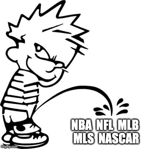 NFL MLS MLB NASCAR NBA | NBA  NFL  MLB
 MLS  NASCAR | image tagged in calvin peeing | made w/ Imgflip meme maker