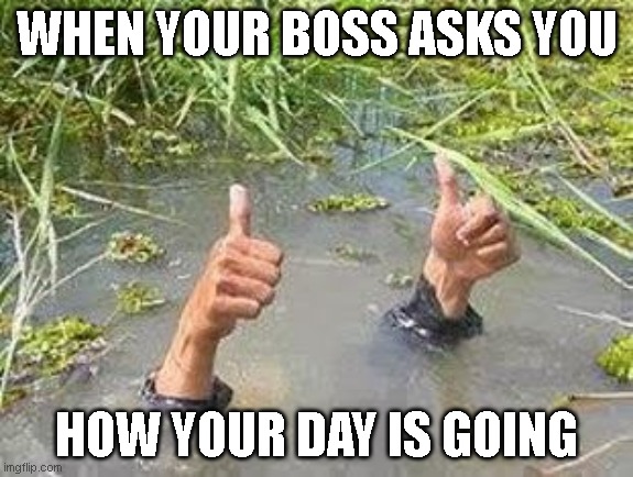 Short Staffed | WHEN YOUR BOSS ASKS YOU; HOW YOUR DAY IS GOING | image tagged in flooding thumbs up,work,overworked,shortstaffed | made w/ Imgflip meme maker