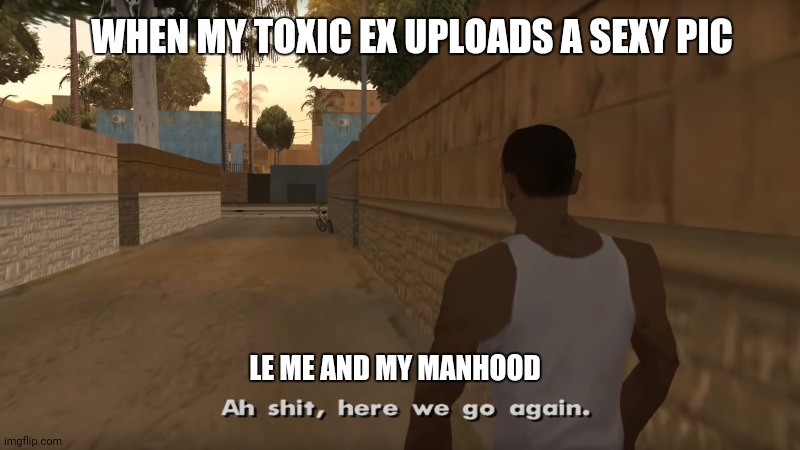 There goes my self respect down the gutter | WHEN MY TOXIC EX UPLOADS A SEXY PIC; LE ME AND MY MANHOOD | image tagged in ah shit here we go again,ex-girlfriend | made w/ Imgflip meme maker