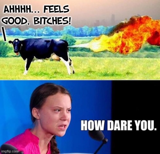 Whoops... There goes your childhood, Greta! | AHHHH... FEELS GOOD, BITCHES! | | image tagged in vince vance,flaming,cow farts,feels good man,greta thunberg how dare you,memes | made w/ Imgflip meme maker