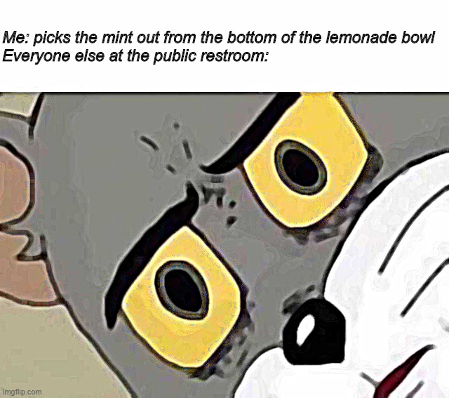 but why | Me: picks the mint out from the bottom of the lemonade bowl

Everyone else at the public restroom: | image tagged in tom cat unsettled close up | made w/ Imgflip meme maker