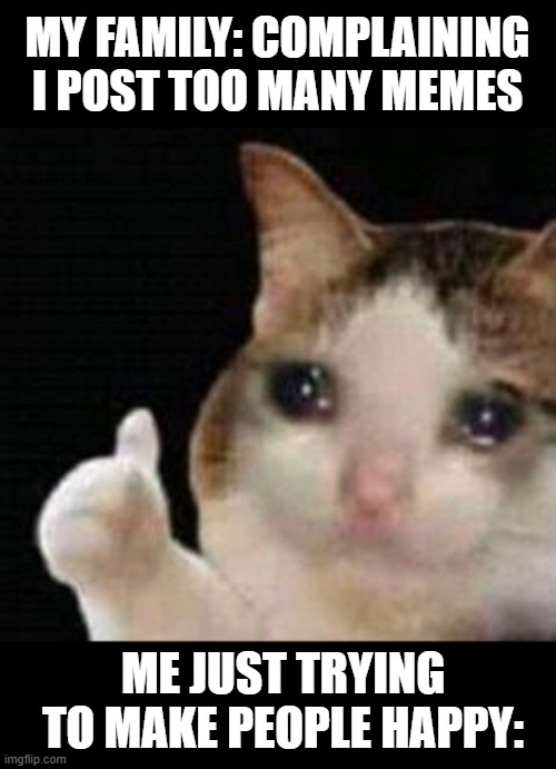 Approved crying cat | MY FAMILY: COMPLAINING I POST TOO MANY MEMES; ME JUST TRYING TO MAKE PEOPLE HAPPY: | image tagged in approved crying cat,memes,posting,crying,crying cat,thumbs up | made w/ Imgflip meme maker