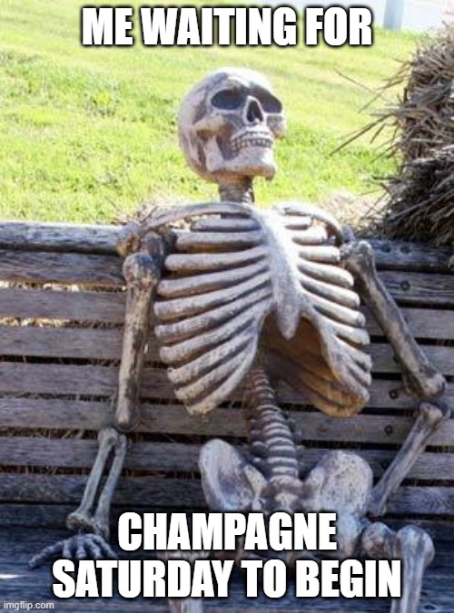 waiting to death | ME WAITING FOR; CHAMPAGNE SATURDAY TO BEGIN | image tagged in memes,waiting skeleton | made w/ Imgflip meme maker