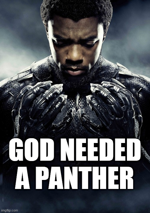 God Needed a Panther | GOD NEEDED A PANTHER | image tagged in black panther,black lives matter,rest in peace,rise in power,god | made w/ Imgflip meme maker