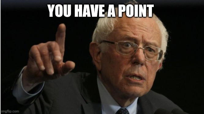Bernie He Has A Point | YOU HAVE A POINT | image tagged in bernie he has a point | made w/ Imgflip meme maker