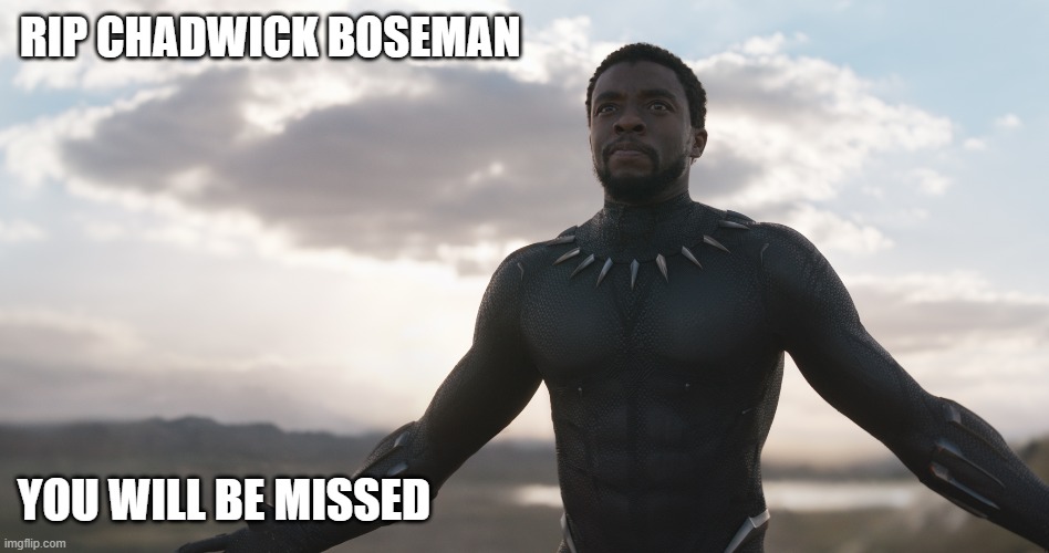 He brought his characters to life. | RIP CHADWICK BOSEMAN; YOU WILL BE MISSED | image tagged in black panther spotlight,rip,death | made w/ Imgflip meme maker
