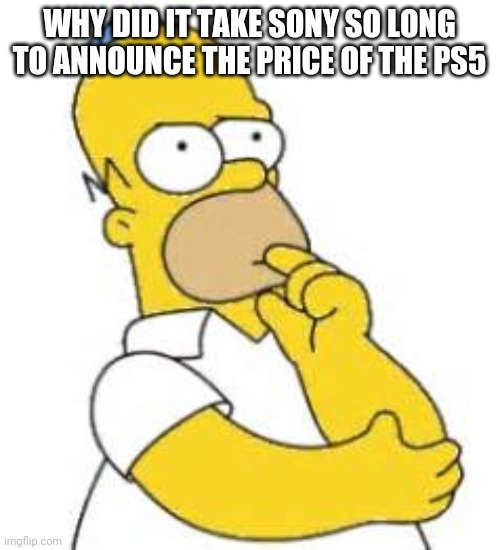 Homer Simpson Hmmmm | WHY DID IT TAKE SONY SO LONG TO ANNOUNCE THE PRICE OF THE PS5 | image tagged in homer simpson hmmmm,sony | made w/ Imgflip meme maker