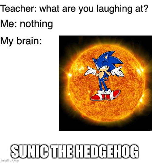 Someone Had To Do It | SUNIC THE HEDGEHOG | image tagged in blank white template,teacher what are you laughing at | made w/ Imgflip meme maker
