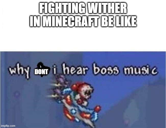 why do i hear boss music | FIGHTING WITHER IN MINECRAFT BE LIKE; DONT | image tagged in why do i hear boss music,minecraft | made w/ Imgflip meme maker