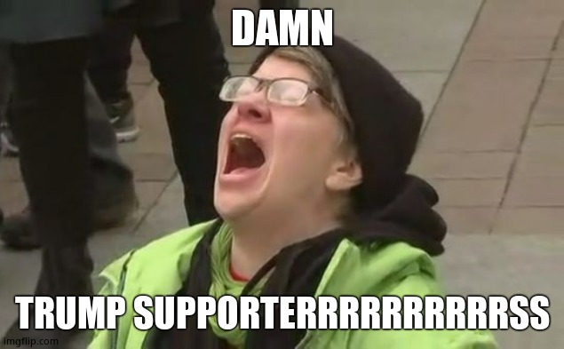 Screaming Liberal | DAMN TRUMP SUPPORTERRRRRRRRRRSS | image tagged in screaming liberal | made w/ Imgflip meme maker