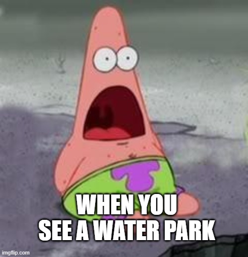 Suprised Patrick | WHEN YOU SEE A WATER PARK | image tagged in suprised patrick | made w/ Imgflip meme maker