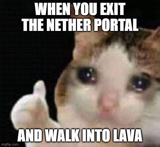 Approved crying cat |  WHEN YOU EXIT THE NETHER PORTAL; AND WALK INTO LAVA | image tagged in approved crying cat | made w/ Imgflip meme maker