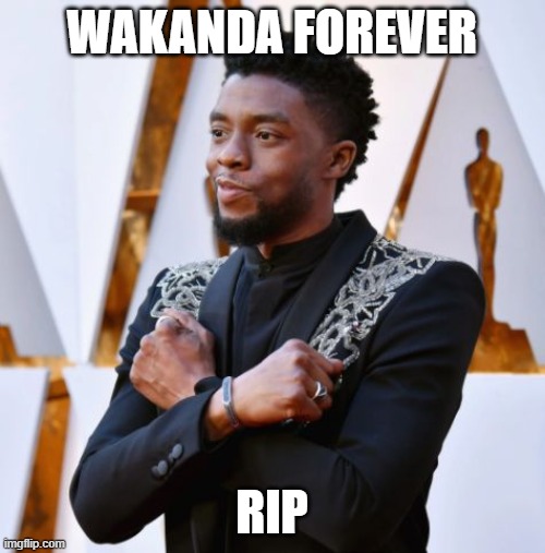 Wakanda Forever | WAKANDA FOREVER RIP | image tagged in wakanda forever | made w/ Imgflip meme maker