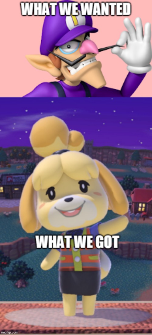 what we will never get | image tagged in super smash bros | made w/ Imgflip meme maker