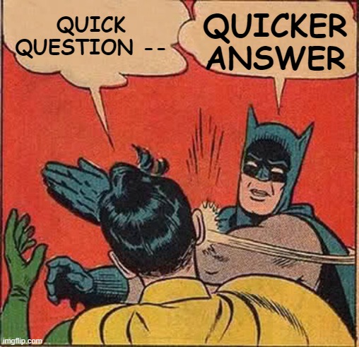Nobody's Got Time for a Quick Question | QUICK QUESTION --; QUICKER ANSWER | image tagged in memes,batman slapping robin | made w/ Imgflip meme maker