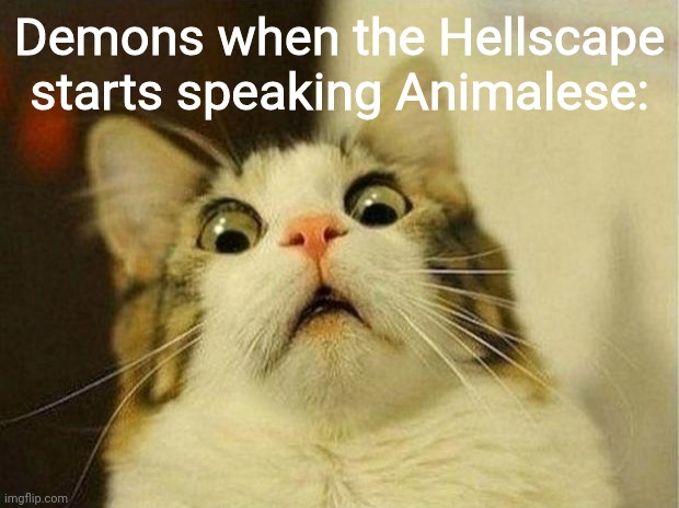 Isabelle be ready to slaughter unholy hordes. | Demons when the Hellscape starts speaking Animalese: | image tagged in memes,scared cat | made w/ Imgflip meme maker