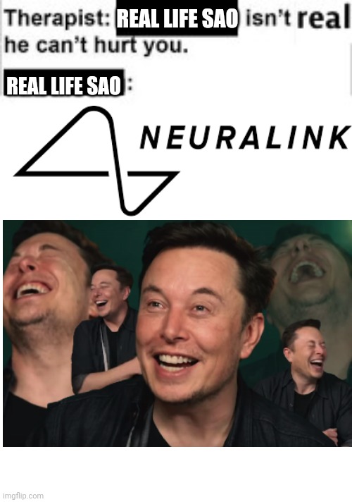Neuralink shows up* | REAL LIFE SAO; REAL LIFE SAO | image tagged in it cant hurt you | made w/ Imgflip meme maker