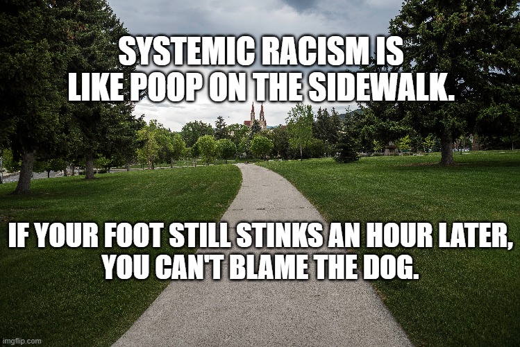 Systemic Poop | SYSTEMIC RACISM IS LIKE POOP ON THE SIDEWALK. IF YOUR FOOT STILL STINKS AN HOUR LATER,
YOU CAN'T BLAME THE DOG. | image tagged in racism,systemic racism,robin diangelo,white,black lives matter,blm | made w/ Imgflip meme maker