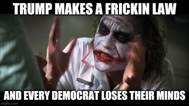 And everybody loses their minds | TRUMP MAKES A FRICKIN LAW; AND EVERY DEMOCRAT LOSES THEIR MINDS | image tagged in memes,and everybody loses their minds | made w/ Imgflip meme maker