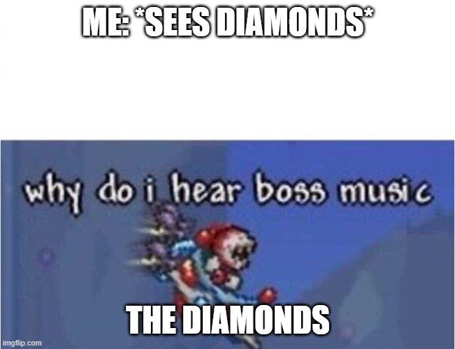 why do i hear boss music | ME: *SEES DIAMONDS*; THE DIAMONDS | image tagged in why do i hear boss music | made w/ Imgflip meme maker