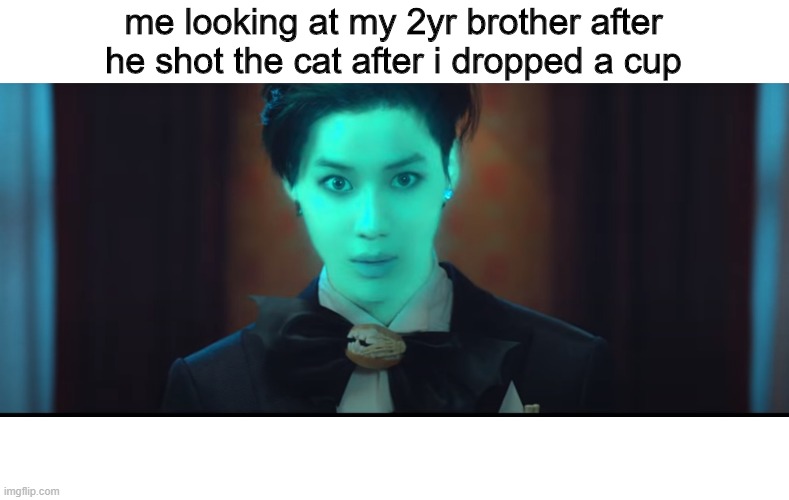 damn 2 year olds | me looking at my 2yr brother after he shot the cat after i dropped a cup | image tagged in little brother | made w/ Imgflip meme maker