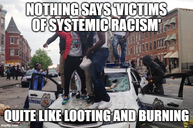 Riot | NOTHING SAYS 'VICTIMS OF SYSTEMIC RACISM'; QUITE LIKE LOOTING AND BURNING | image tagged in riot | made w/ Imgflip meme maker
