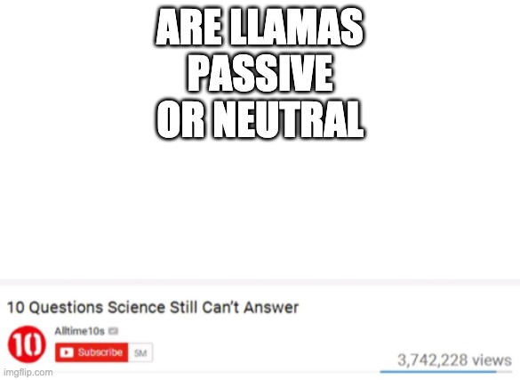 hmm | ARE LLAMAS PASSIVE OR NEUTRAL | image tagged in blank white template,questions that science cant answer | made w/ Imgflip meme maker
