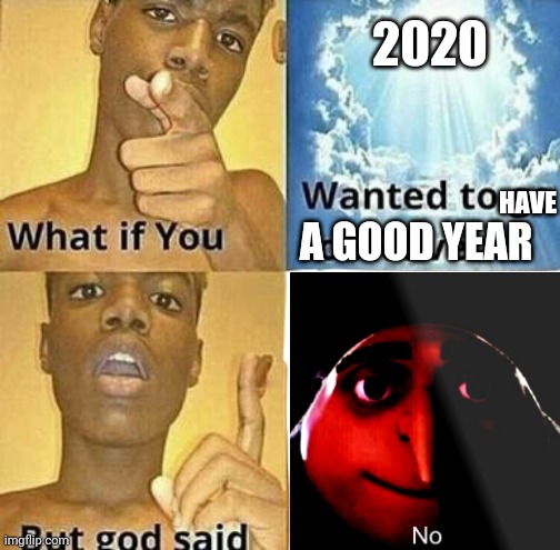 But | 2020; HAVE; A GOOD YEAR | image tagged in 2020,true | made w/ Imgflip meme maker