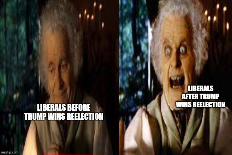 Political Bilbo | LIBERALS AFTER TRUMP WINS REELECTION; LIBERALS BEFORE TRUMP WINS REELECTION | image tagged in lord of the rings | made w/ Imgflip meme maker