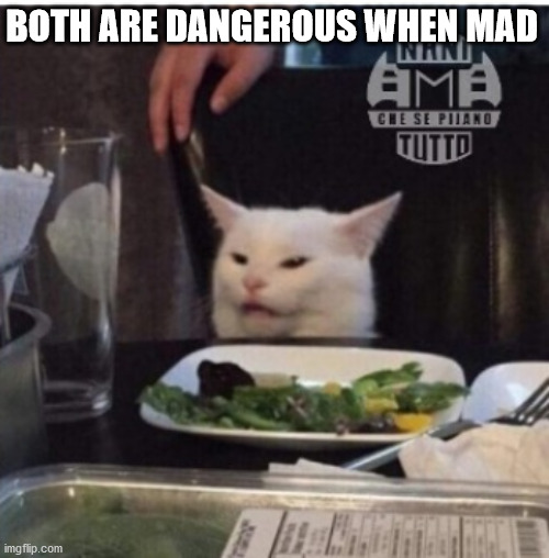 BOTH ARE DANGEROUS WHEN MAD | made w/ Imgflip meme maker